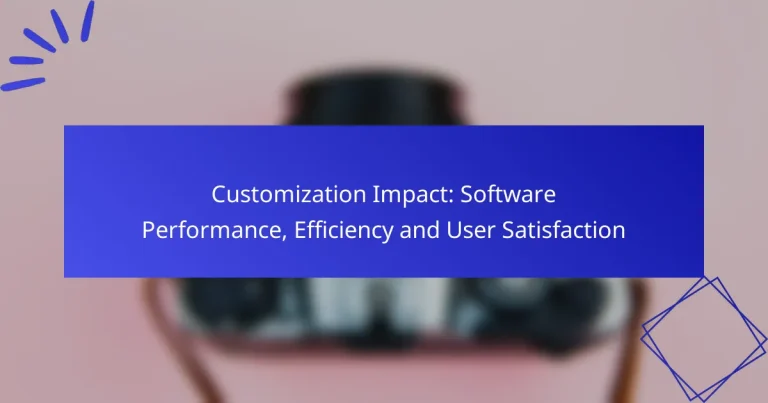 Customization Impact: Software Performance, Efficiency and User Satisfaction