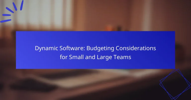Dynamic Software: Budgeting Considerations for Small and Large Teams