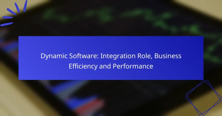 Dynamic Software: Integration Role, Business Efficiency and Performance