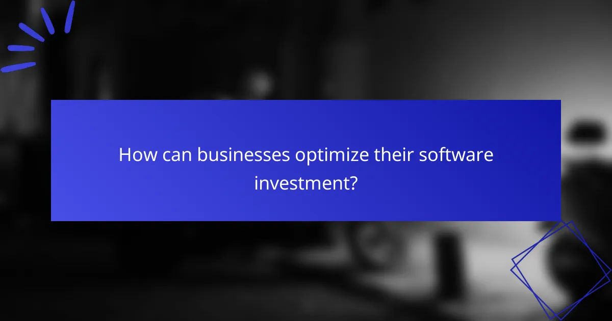 How can businesses optimize their software investment?
