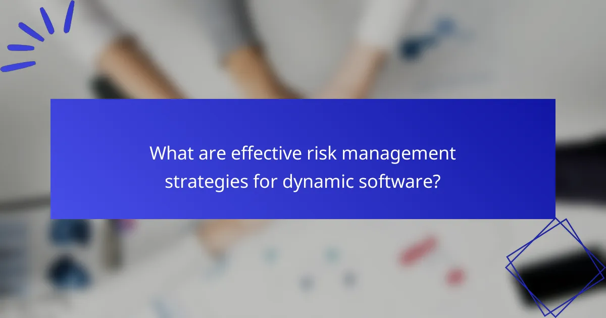 What are effective risk management strategies for dynamic software?