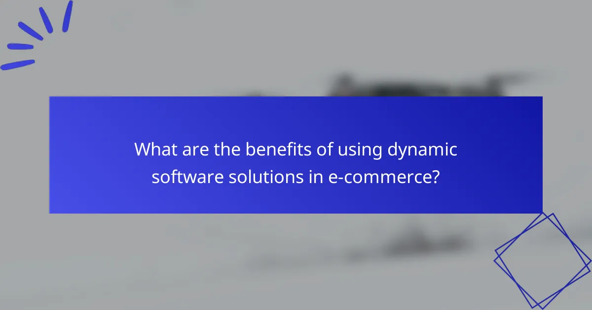What are the benefits of using dynamic software solutions in e-commerce?