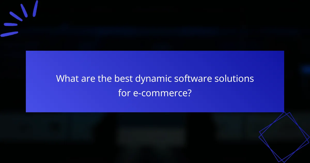 What are the best dynamic software solutions for e-commerce?