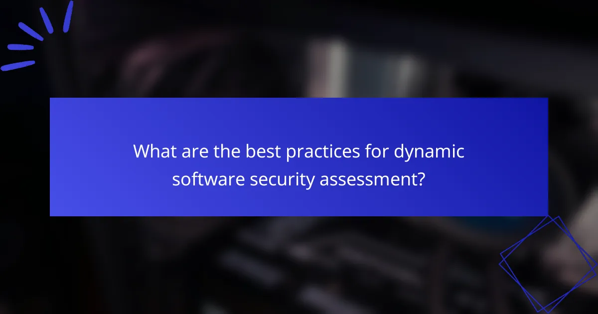 What are the best practices for dynamic software security assessment?