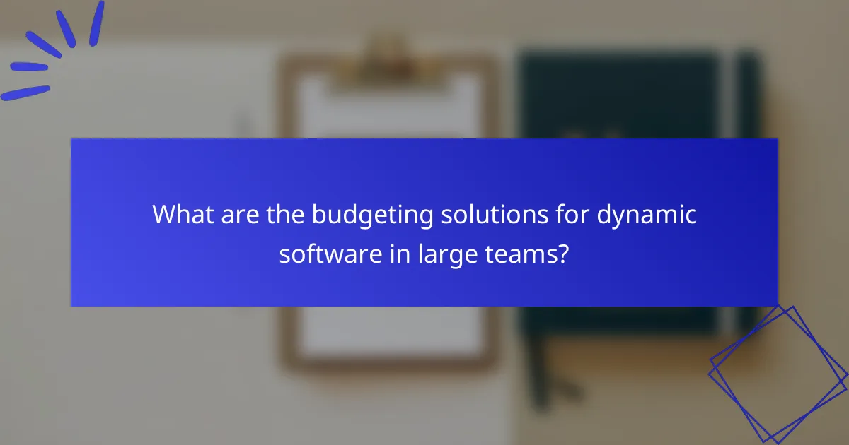 What are the budgeting solutions for dynamic software in large teams?