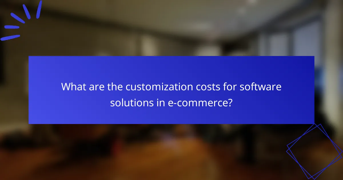 What are the customization costs for software solutions in e-commerce?