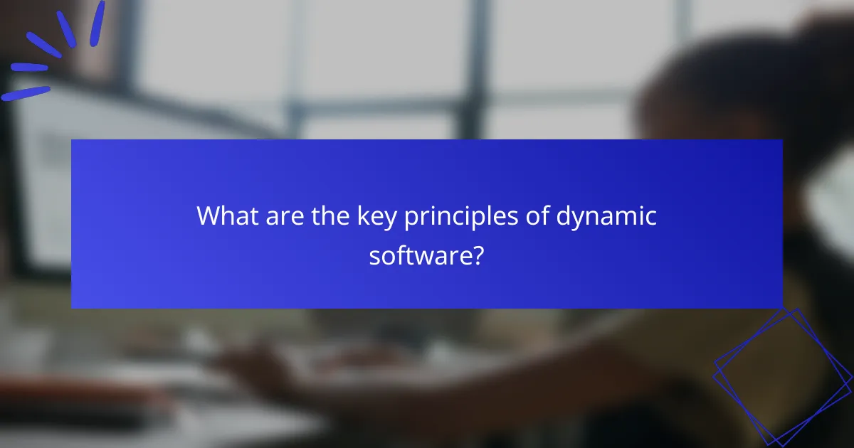 What are the key principles of dynamic software?