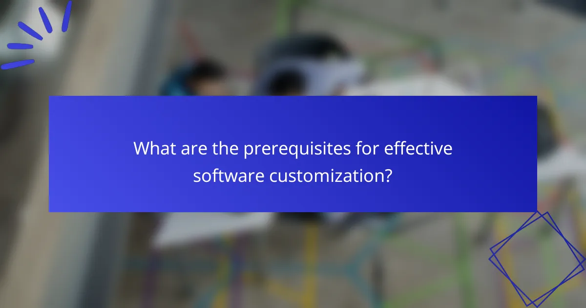 What are the prerequisites for effective software customization?