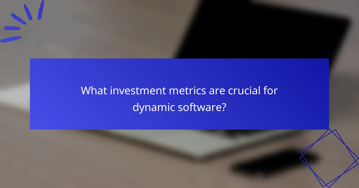 What investment metrics are crucial for dynamic software?