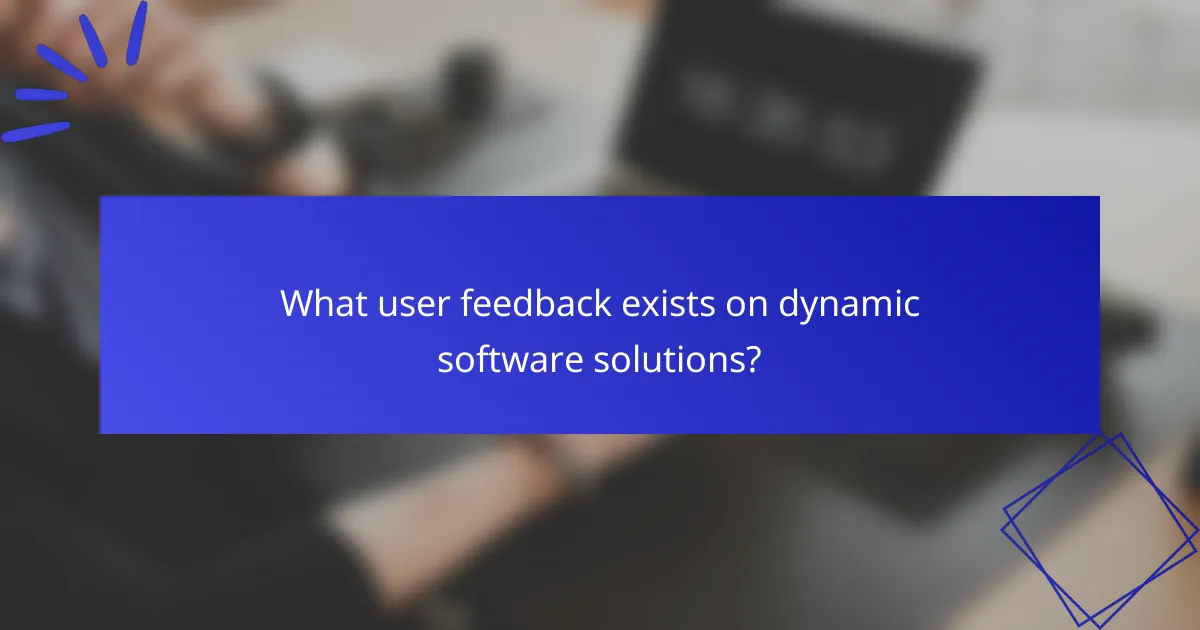 What user feedback exists on dynamic software solutions?