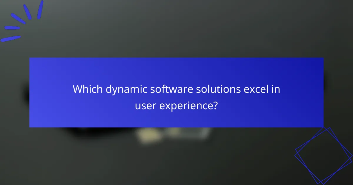 Which dynamic software solutions excel in user experience?